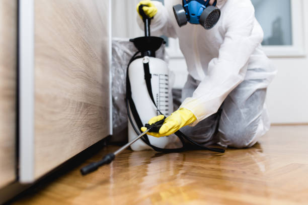 Best Flea Control Services  in Jacksonville, AL