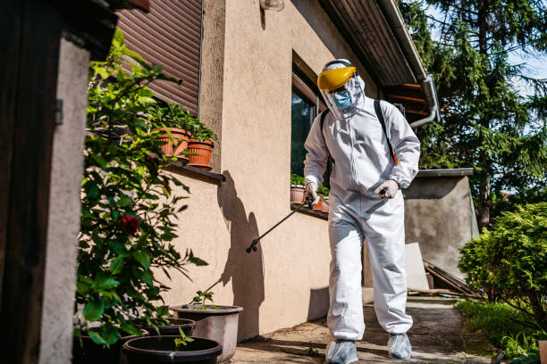 Best Wasp Removal Services  in Jacksonville, AL