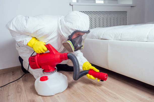 Trusted Jacksonville, AL Pest Control Experts
