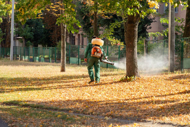 Best Pest Control Near Me in Jacksonville, AL