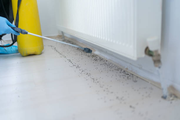 Best Pest Inspection Near Me  in Jacksonville, AL