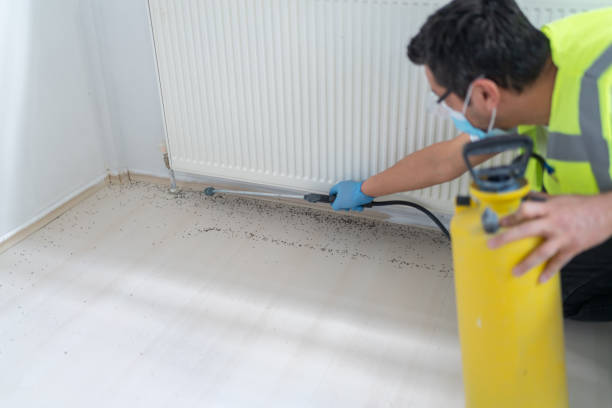 Best Local Pest Control Services  in Jacksonville, AL